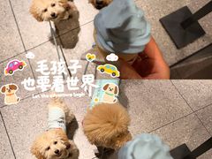 -麦当劳(杭州临平万达广场店)