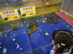 -东江海鲜酒家(艺都分店)