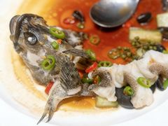 -曼格纳·曼芯馆(杨浦店)
