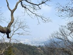 -灵顺寺
