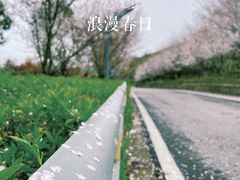 -树山生态村