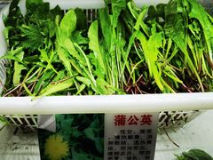 -黔府豆米火锅野菜馆(南马店)