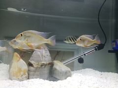 -津武刁馋一锅出(双街店)