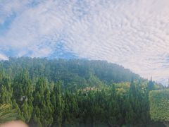 -南沙蒲洲花园
