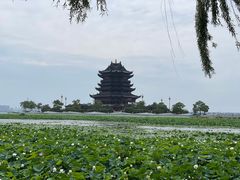 -阳澄湖费尔蒙酒店