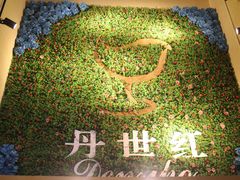 -丹世红酒庄·烧烤·团建·婚礼·水上运动