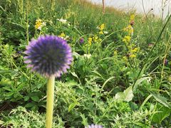 -白草畔自然风景区