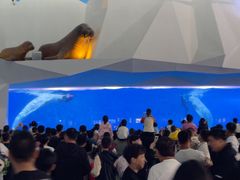 -泉城欧乐堡海洋极地世界