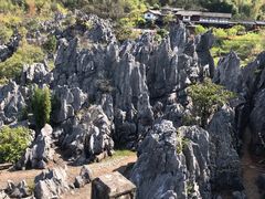 -千岛湖石林