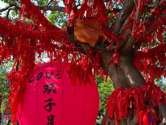 -墨江北回归线标志园