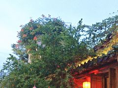 -鲤院·新中式美学·庭院餐厅(夫子庙店)