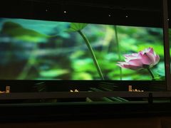 -胖哥俩肉蟹煲(福州仓山爱琴海店)