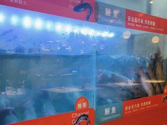 -三江源活鱼现烤(维多利摩尔城店)