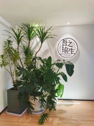 -吾之瑜生瑜伽普拉提学院