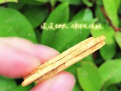 -大润发(康桥店)
