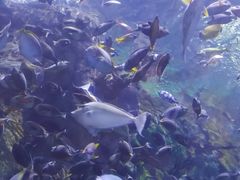 -珠海长隆海洋王国