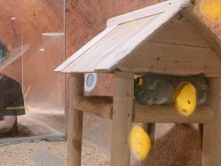 -酷嗒动物文化乐园(cutezoo西溪乐天城店)