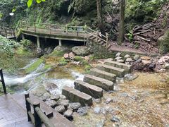 -牛背梁国家森林公园