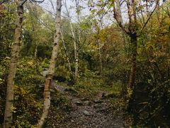 -叠溪松坪沟景区