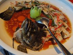 游龙石斑鱼-馋遇江南·精致湖景雅宴(东方之门店)