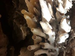 -兴隆溶洞