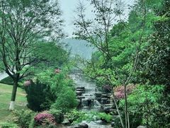 -桃花岭景区
