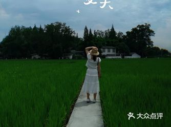 成都攻略｜不用走远，成都就有日系同款治愈系稻田