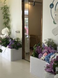 -头道汤头疗养生馆