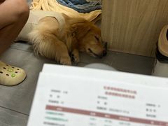 -虹泰宠物医院 ·旗舰店·24h(南秀路店)