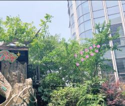 -可可天空农场(中大店)