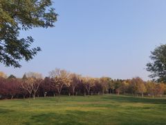 -北坞公园