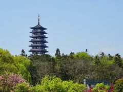 -宜兴龙背山森林公园