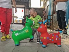 -梨木台悦来客农家院