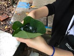 -杭州少年儿童公园
