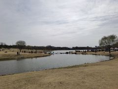 -钟山体育运动公园