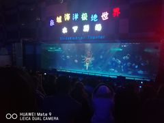 -泉城欧乐堡海洋极地世界