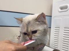 -中农国际动物医院24小时·猫科·骨科·急重症中心