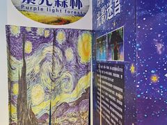 -天津梵高星空艺术馆(天河城旗舰店)