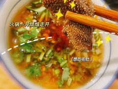 鲜毛肚-飘香火锅(玉林西路店)