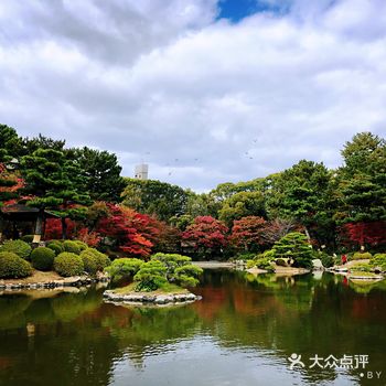 樱花红叶梅花，真的美不胜收