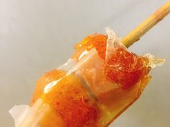 -和禄德冰糖葫芦