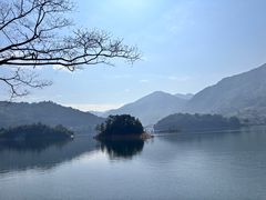 -广州市流溪河国家森林公园
