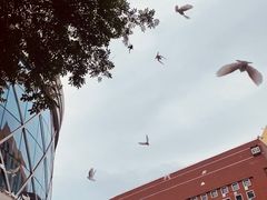 -中粮·祥云小镇