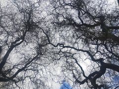 -丽江泸沽湖景区