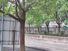 -安飞驰驾校·学车连锁(金高店)