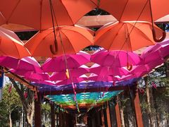 -杨厝六十六农庄农舍(杨厝路店)