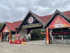 -上海海湾国家森林公园