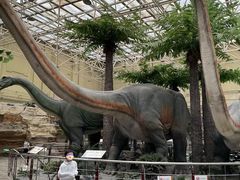 -国家自然博物馆