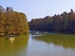 -上海海湾国家森林公园