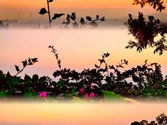 -火炉山森林公园